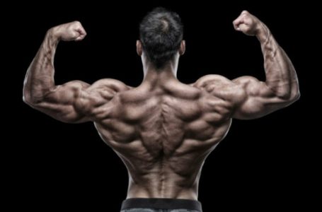Tips and exercises for a strong back