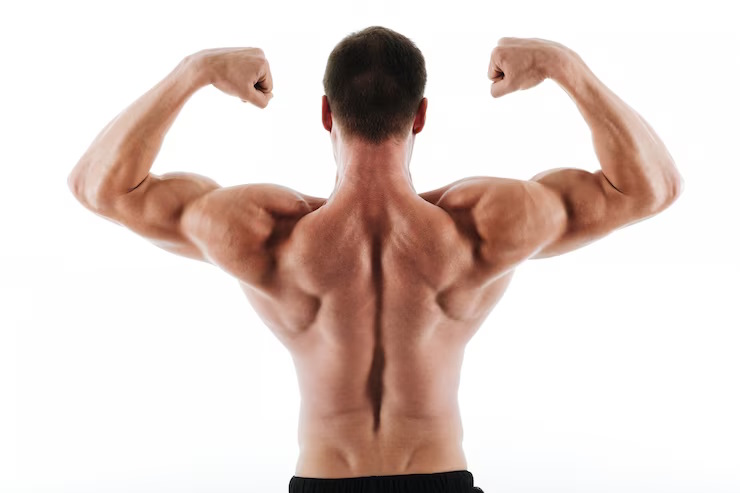  Debunking 5 muscle myths