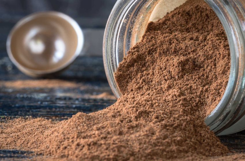  What Protein Powder Should You Take