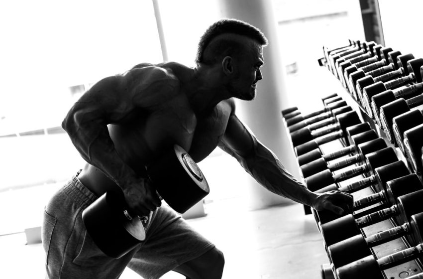  How to Prevent and Treat Common Injuries and Pains from Weight Training