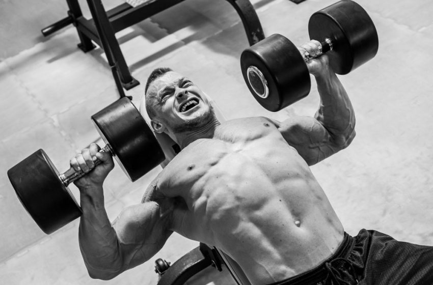  The Weider Muscle Confusion Principle: Does It Really Work?