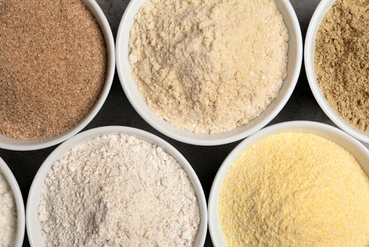 Protein powders: what differs between them