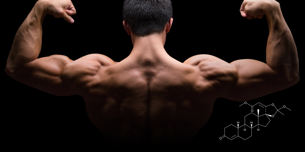 YK-11: Stop limiting your muscle growth