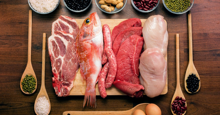 Protein bioavailability: what is it and what are the best sources?