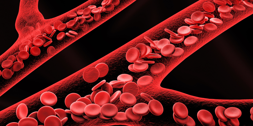  Serrapeptase 101