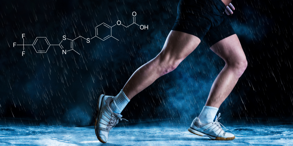 Cardarine – exercise in a pill