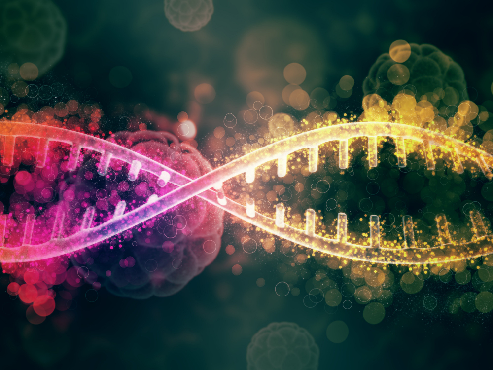 Gene editing and bodybuilding: a glimpse into the future of custom muscle growth