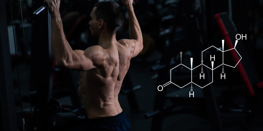 Proviron – the odd, yet essential AAS