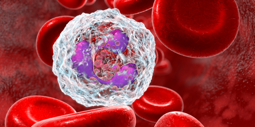 The impact of AAS on immune function