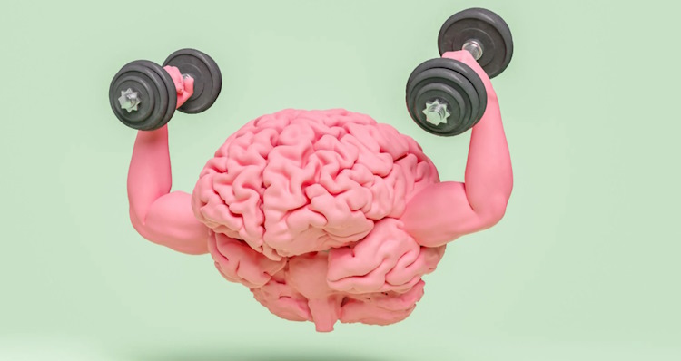 Can bodybuilding make you smarter? The cognitive benefits of lifting weights