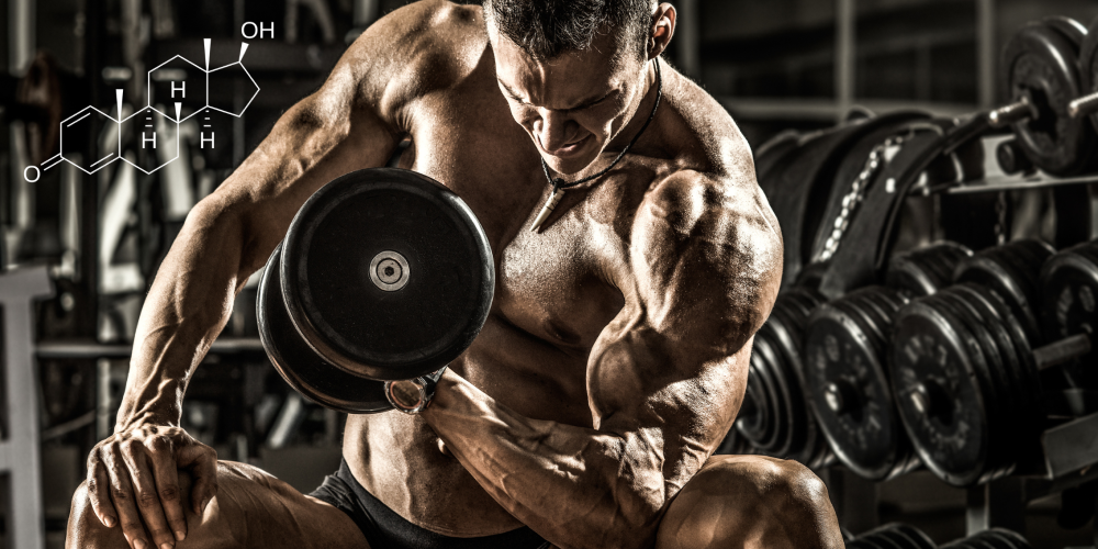 Equipoise – the horse steroid