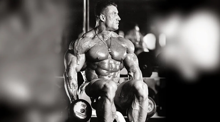 Muscle hardness vs. size: density, water retention, and the “dry look”