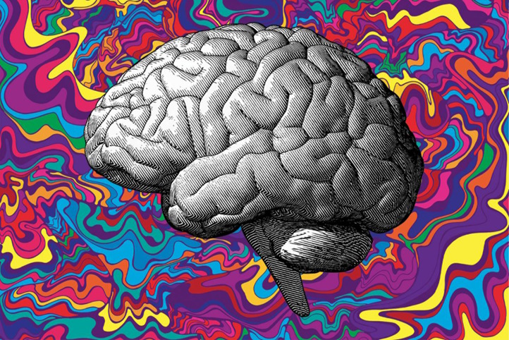 Psychedelics and recovery: can it help with CNS fatigue?