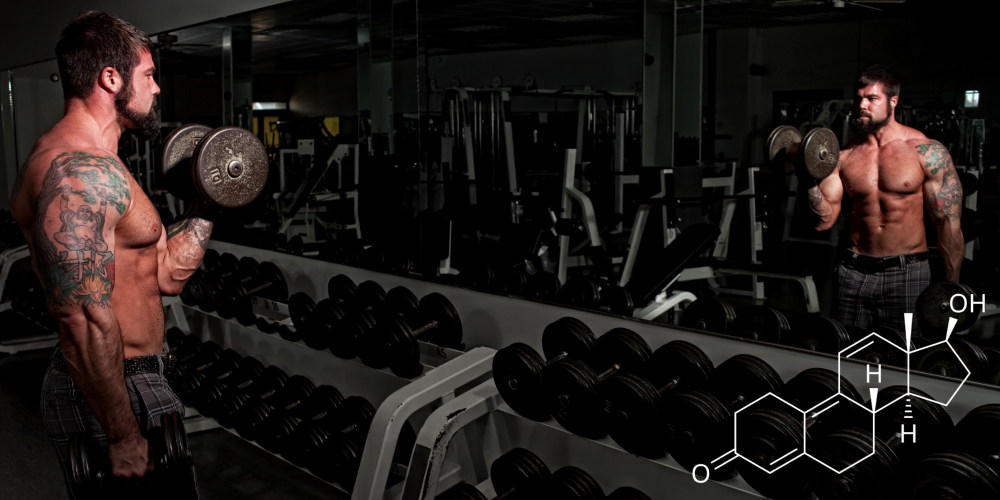 Trenbolone – the apex predator of AAS