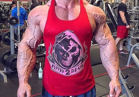 Vascularity: PEDs, Nitric Oxide and blood volume