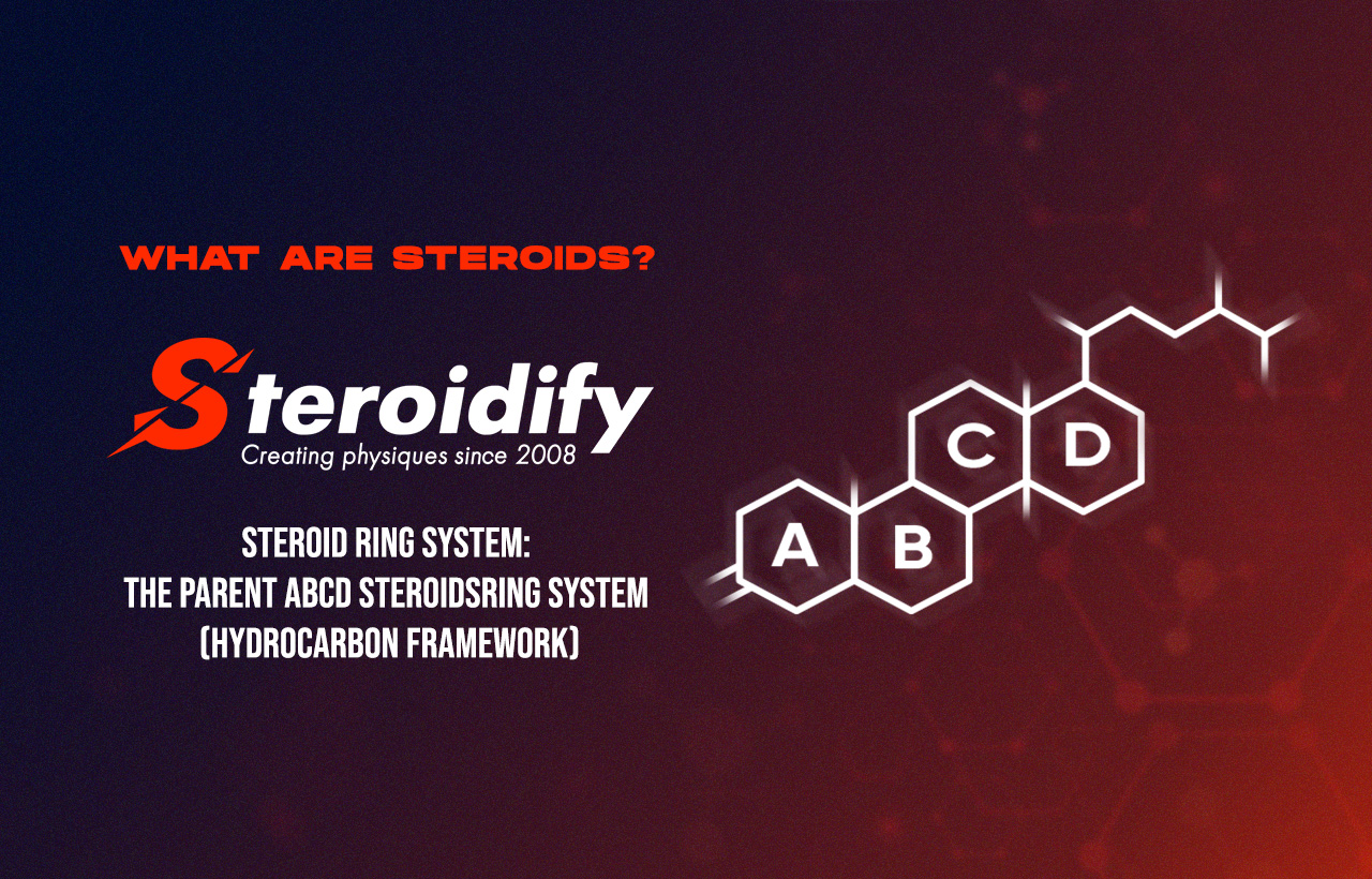 Structure of steroids: what you need to know