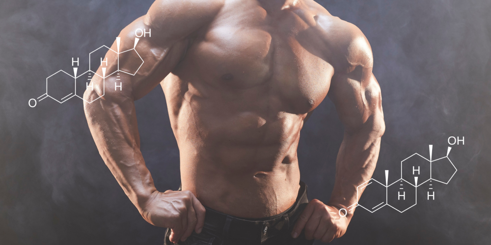Equipoise vs Nandrolone: lean bulking agents comparison