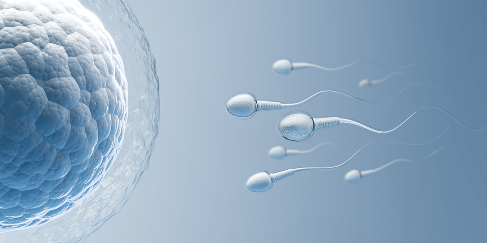 HMG – the ultimate fertility aid